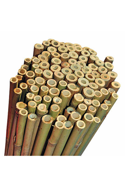 Bahçem Bambu 10'lu Bitki Destek Çubuğu 16mm 180cm
