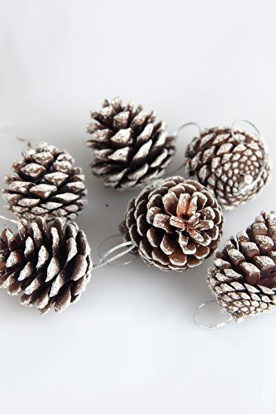 DMS DEKOR زينة شجرة عيد الميلاد الصنوبر كوز الصنوبر الثلجي 6 قطع 6 سم