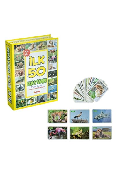 Diytoy Kırtasiye Ve Oyuncak Dünyası Ilk 50 Hayvan Flash Cards Zeka Oyunu 12 A...