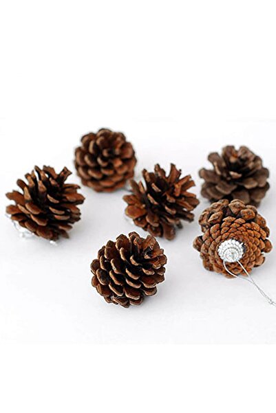 DMS DEKOR New Year's Pine Cone Ornament Brown Set of 6