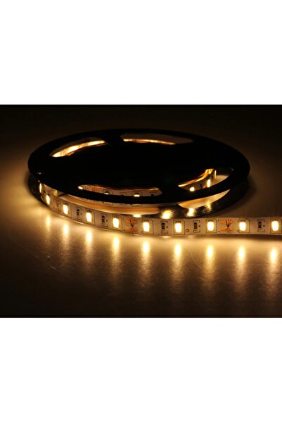 Cata Ct-4537 Led Şerit 5630 Gold Şerit Led Günışığı Renk 5mt