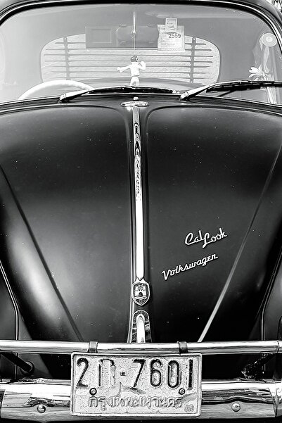 Realhomes Vosvos Resimli Dijital Baskılı Dekoratif Çift Taraflı Süet Yastık K...