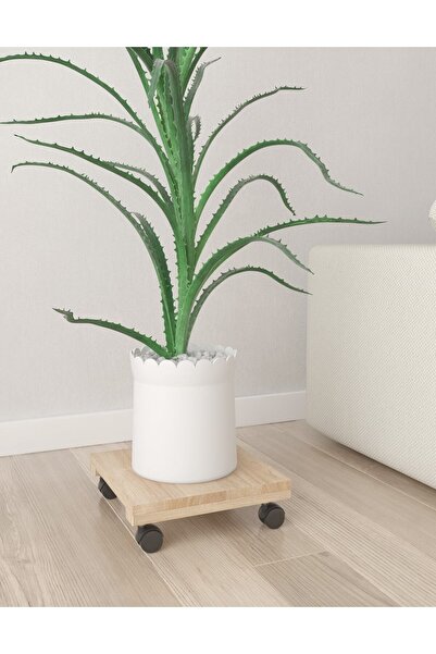 Genel Markalar Ceviz Tekerlekli Damacana Altlığı Tüp Altlığı Saksılık 30cm x ...