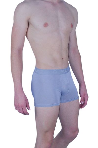 COTBOXER Ανδρικό ύφασμα μπαμπού γκρι Queans Boxer
