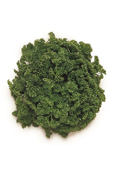 Erüst Chef's Garden Tropikal Sepet Frenk Maydanoz 25 gr