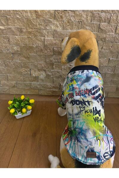 Beyaz Kopek Urunleri Modelleri Fiyatlari Trendyol