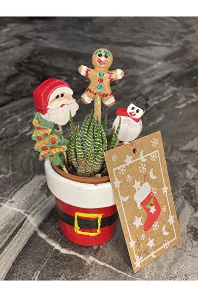 AlohamoraShop Yılbaşı Küçük Saksı Seti