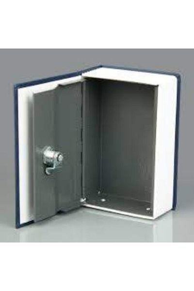 WHB Book Looking Hidden Safe