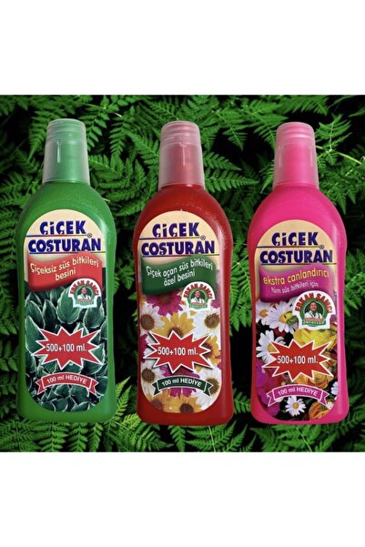 ÇİÇEK COŞTURAN Çiçeksiz Süs Bitkileri - Çiçek Açan Süs Bitkileri - Tüm Süs Bi...