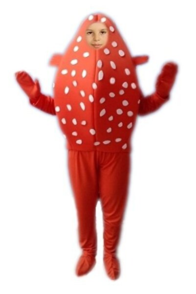 Kostüm Sarayı Balon Balığı Kostümü Yetişkin