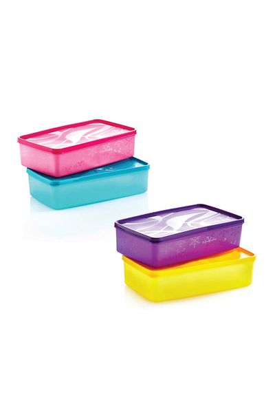 EveFix Alaska Deep Freezer Storage Container 2.1 Lt