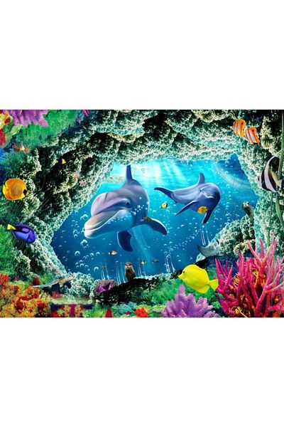 Nova Puzzle لغز 1000 قطعة بين الشعاب المرجانية