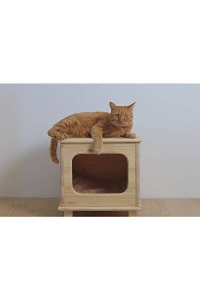 naturbird Kedi Evi Ve Sehpa Ahşap Kedi Yuvası Kedi Mobilyası