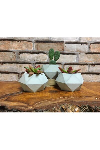 Genel Markalar Üçlü Ham Beton Döküm Kaktüs Ve Skulent Saksı Seti Prizma