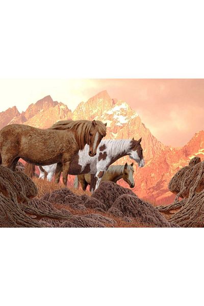Nova Puzzle لغز 1000 قطعة