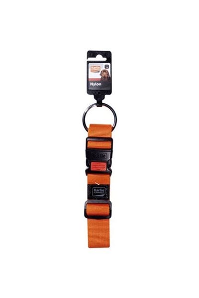 Flamingo Orange Asp Dog Collar - 55-75 Cm