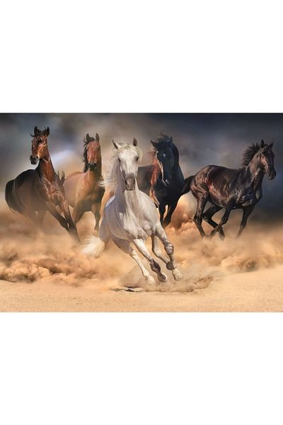 Nova Puzzle Nova 2000 Piece Dust Smoke Running Horses Puzzle - 46002