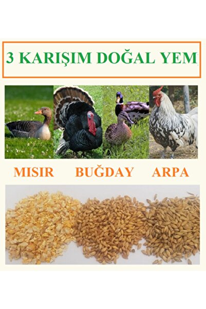 Ekodoğa Buğday Kırık Mısır Arpa Karışım 10 Kg Tavuk Yemi Kanatlı Yemi Kaz Yemi Doğal Yem Kümes Yemi