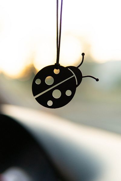 Jön Metal Car Ornament Ladybug Metal Rearview Mirror Ornament