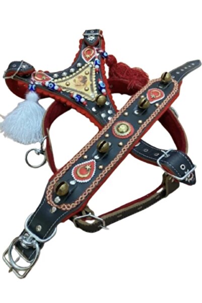 Sürmeli Tasma Gladyatör Kangal Köpek Tasma Seti Hakiki Deri Göğüslük Boyunluk 1. Sınıf