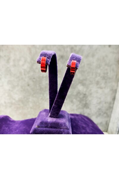 sarıyer silver Red Color Steel Hoop Earrings Daily Women's Jewelry Stylish Mo...