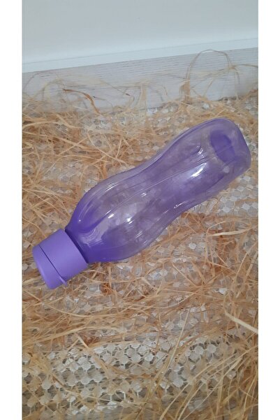 Tupperware Eco Bottle Water Bottle 750 ml Mint Green Purple Set of 2