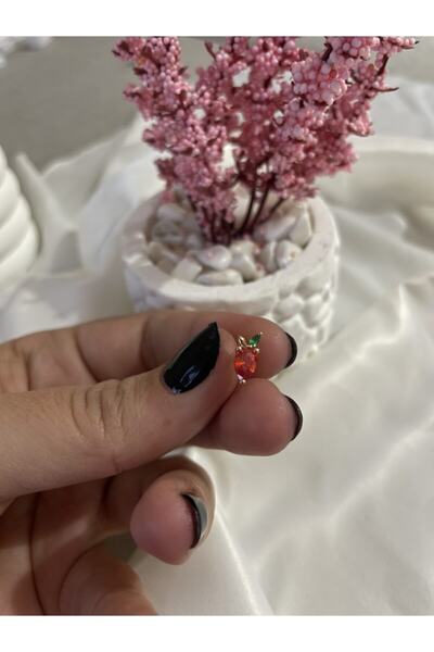 TheSis Aksesuar& Accesories Çilek Model Tragus Piercing Küpe