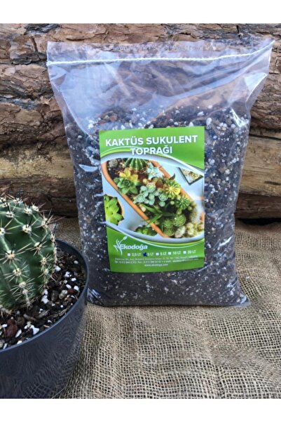 Ekodoğa Kaktüs Toprağı 3 Lt Özel Karışım Sukulent Toprağı Aloe Vera Lithops T...