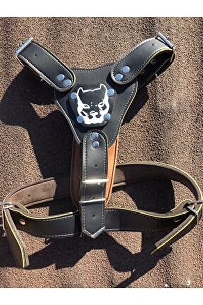 Fr Pet Kopek Tasma Gladyator Gogus Tasma Buyuk Boy Deri Orgu Gezdirme Siyah Fiyati Yorumlari Trendyol