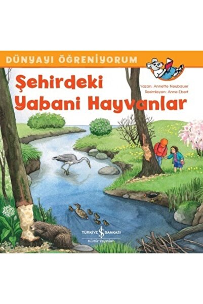 İş Bankası Kültür Yayınları الحيوانات البرية في المدينة - أنا أتعلم العالم / ...