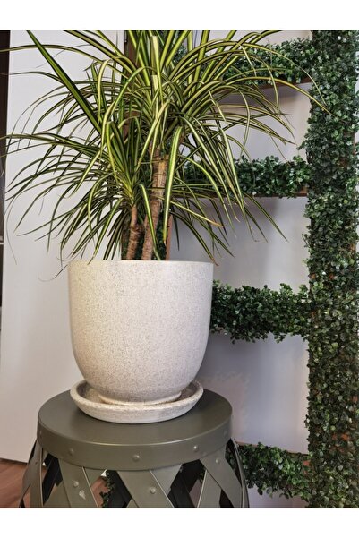 Balcony Flower 23 Cm Exclusive Salon Saksı