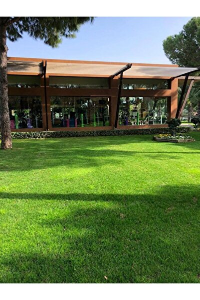 10 Kg English Grass (LOLIUM PERENNE) Grass Seed