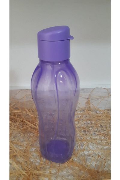 Tupperware Eco Bottle Water Bottle 750 ml Mint Green Purple Set of 2