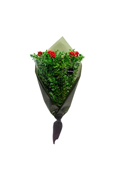 Flori&co . Yılbaşı Çiçeği Kokina Buketi 6 Dal