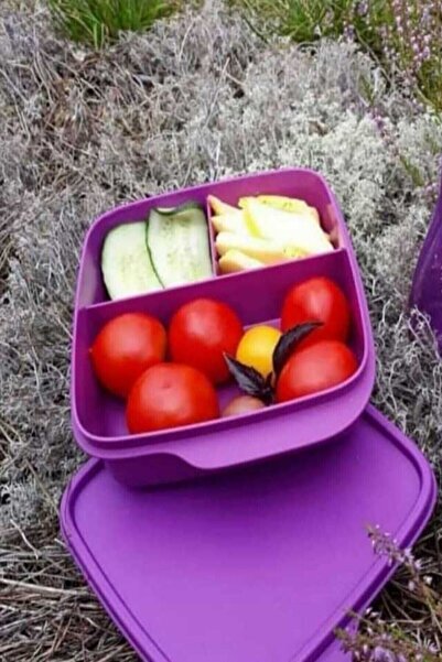 Tupperware Mor Bölmeli Beslenme Kutusu 550 Ml.