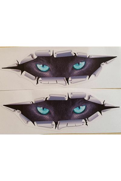 TSC Monster Gazing Eye 2 Car Sticker Paste 19cm