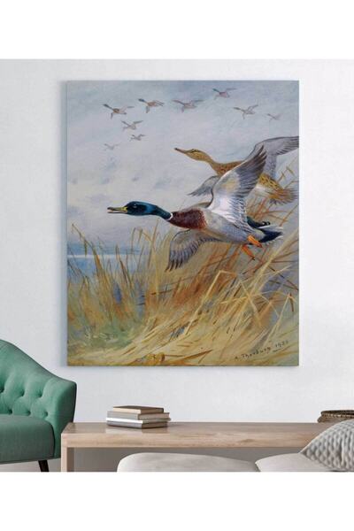 VeraStore Archibald Thorburn Greenhead Ducks Taking Off Art Print