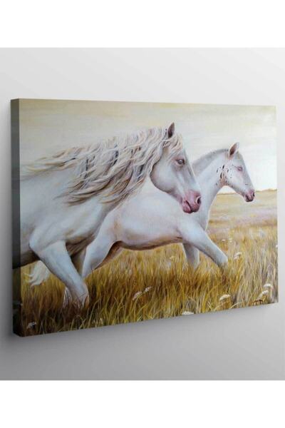 VeraStore Horse Illustrated Canvas Painting