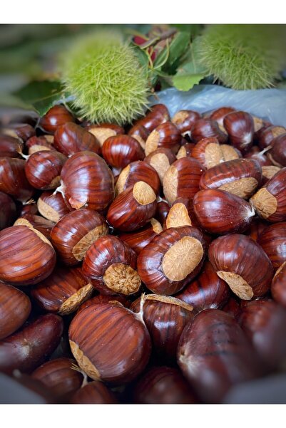 Demirciköy Çiftlik Simav Kestanesi Orta Boy 1000 gr -2025 Hasat (M.SARIALTIN MAĞAZA HARİCİ SATICILARA DİKKAT EDİN)
