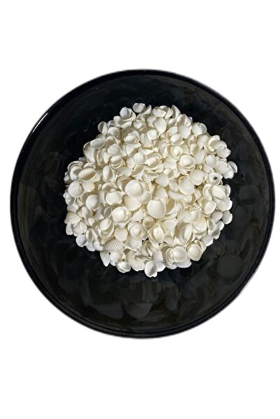 ELGALA Deniz Kabuğu Doğal Midye Kabuğu Clam Rose Kabuk 100 gr