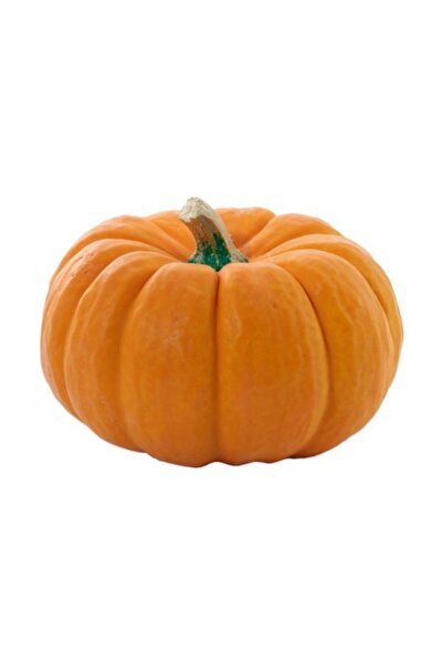 Sebze Meyve Dünyası Tatlı Kabağı 4-5 Kg