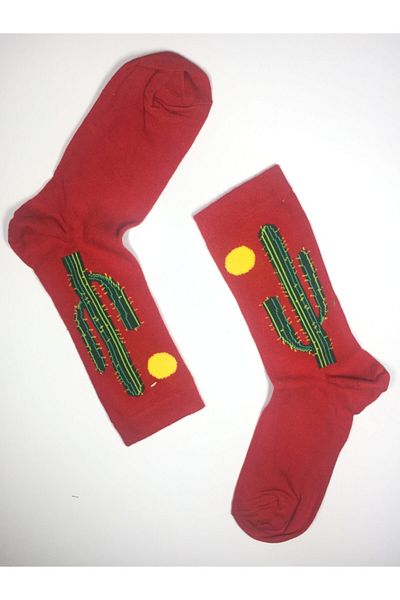 Altınay 2 ζευγάρια κάλτσες Unisex με θέμα τον κάκτο Kak2