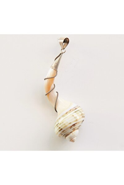 Sea Shell Spiral Kolye Ucu