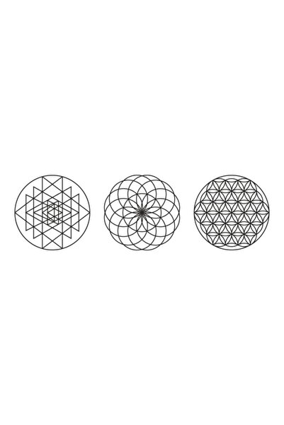 Yaşam Çiçeği Torus Sriyantra Etiket Seti
