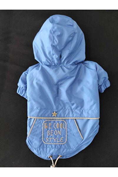 Pawstar Köpek Montu