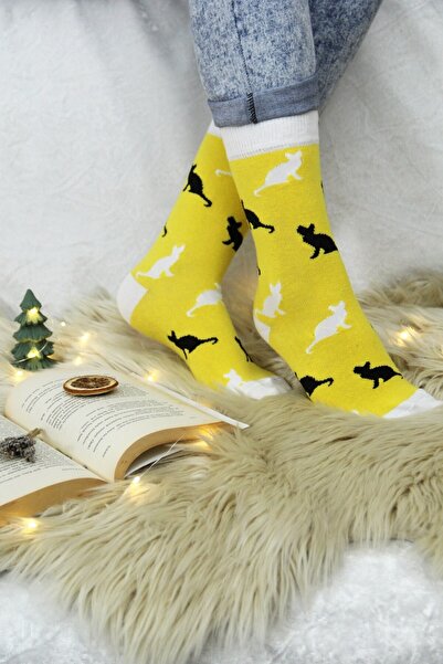 Esafe Home 6-Piece Animal Themed Swan Bee Cat Women's Socks