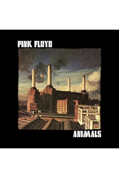 Pixxa كوب ألبوم Love Band Pink Floyd Animals Rock