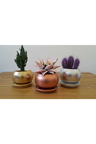 hayat ağacı 3'lü Çömlek Saksı