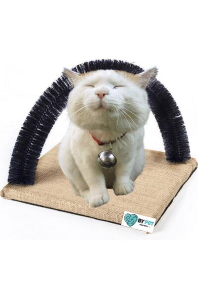 BYPET Black Cat with Brush Itching, Friction and Massage Board
