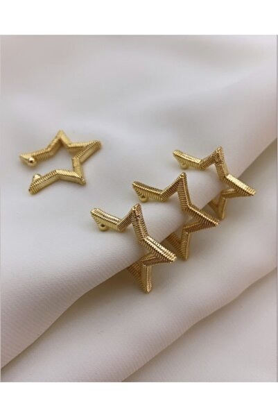 Vi store Yıldız Kıkırdak Küpe